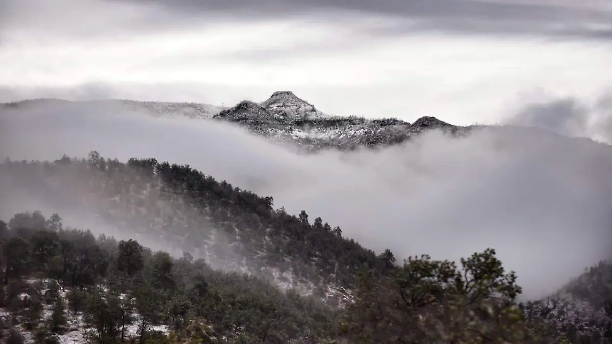 WhatsApp Image 2026-01-12 at 20.06.13