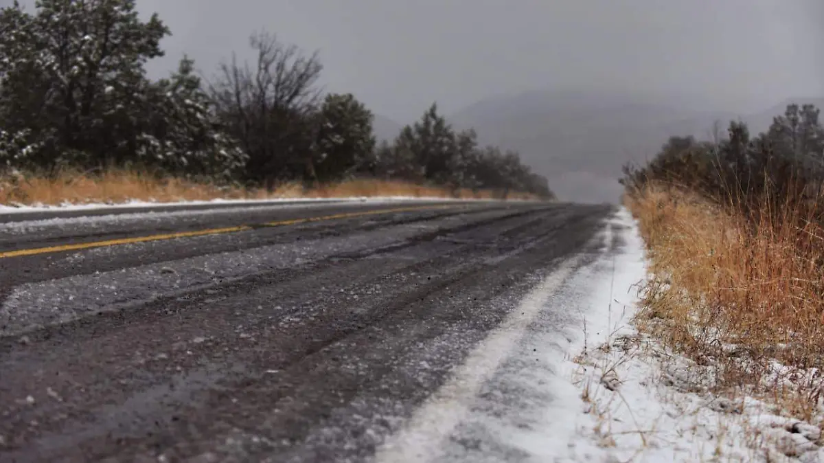 WhatsApp Image 2026-01-12 at 20.06.26