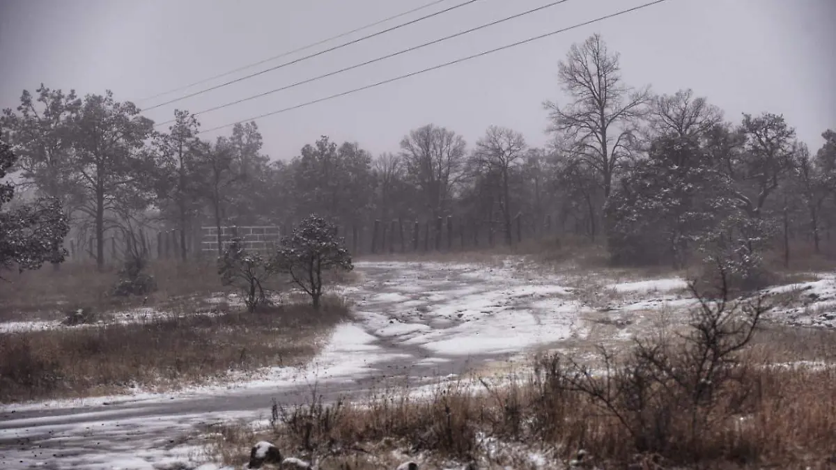 WhatsApp Image 2026-01-12 at 20.06.22