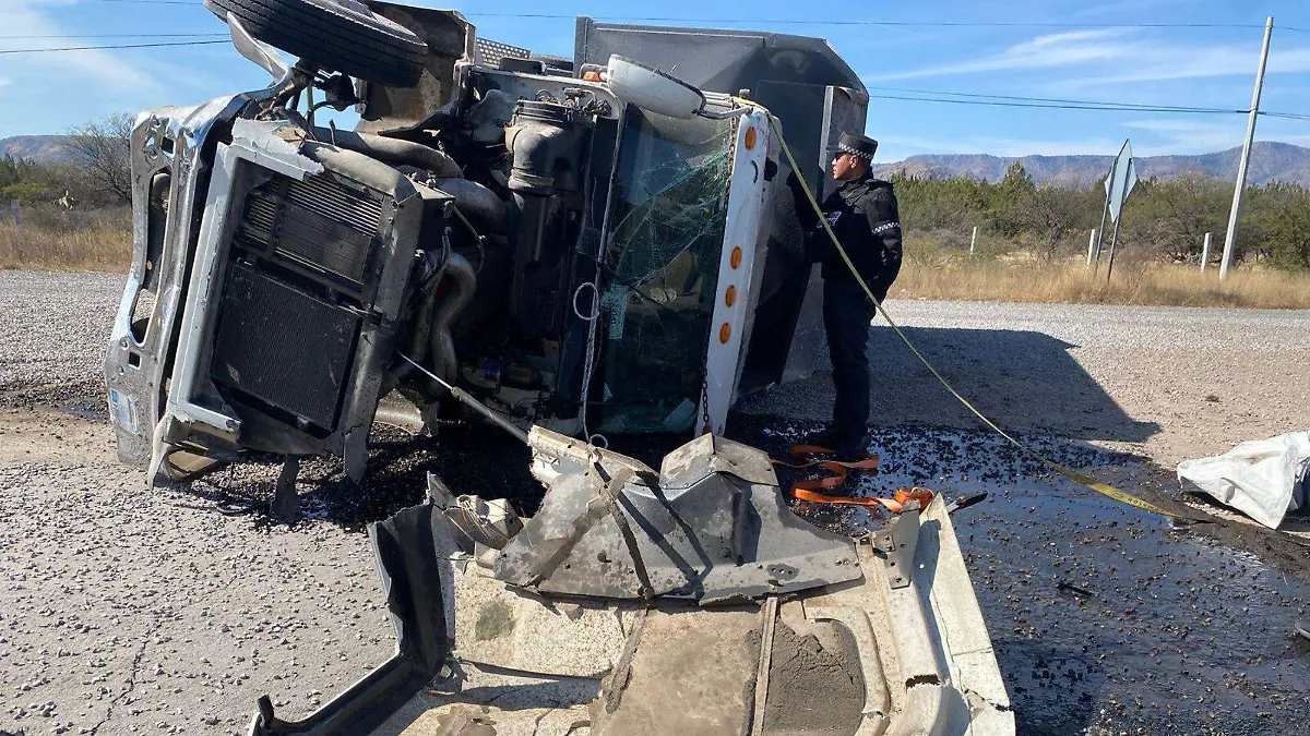 WhatsApp Image 2026-01-15 at 1.26.49 PM