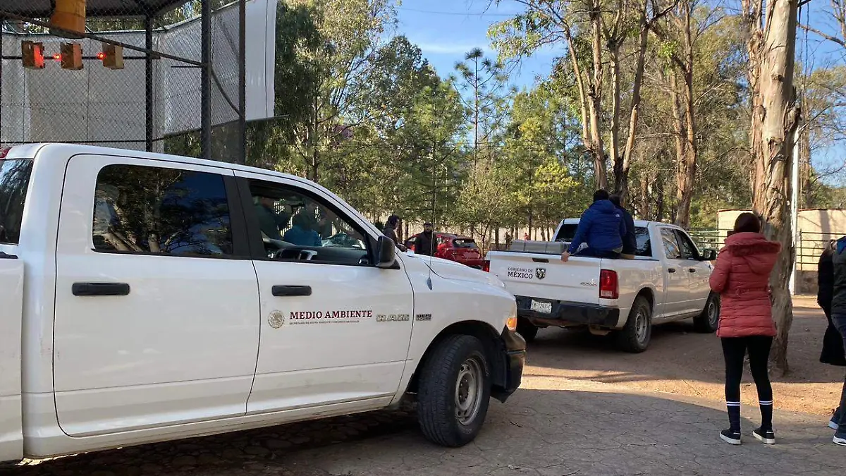 La espera acaba: llega el lobo mexicano a Durango