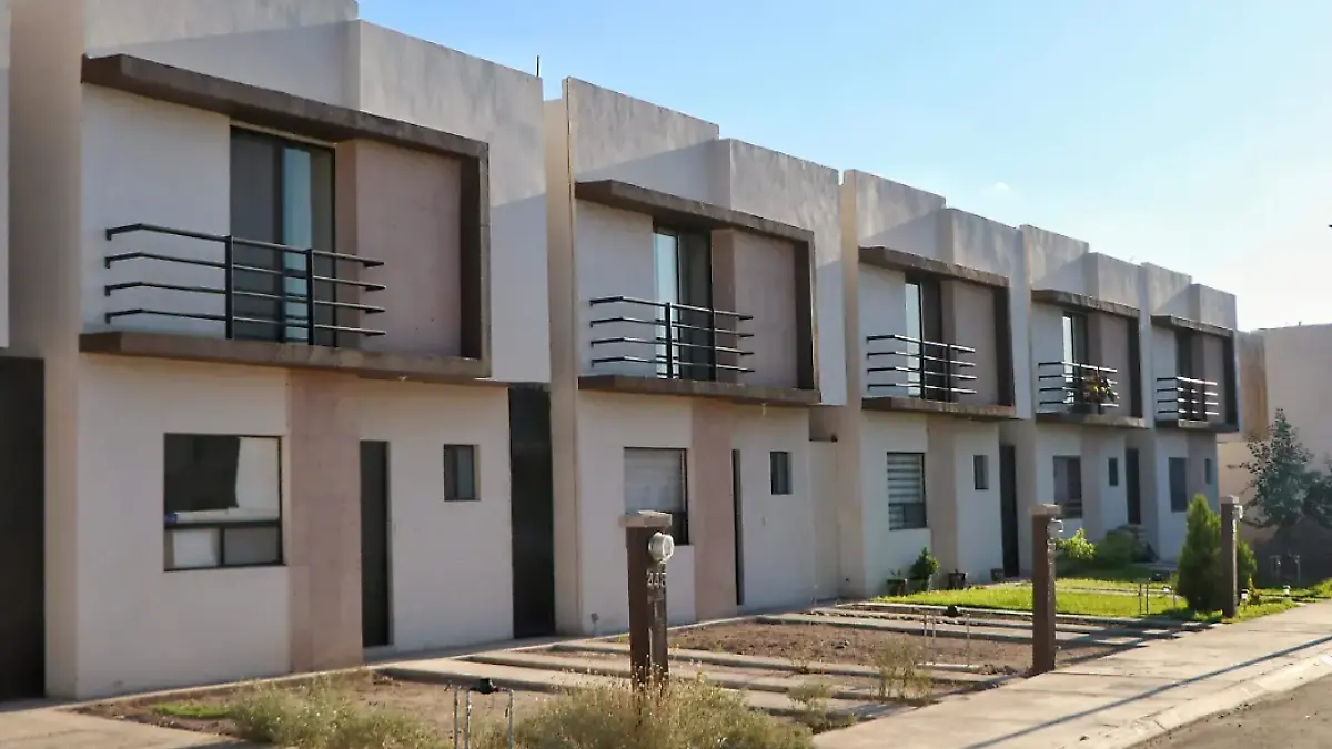 Captura de pantalla 2026-01-15 170029