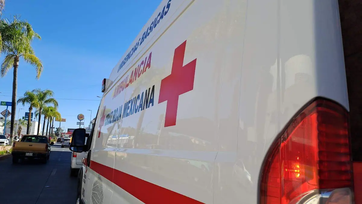 WhatsApp Image 2026-01-05 at 11.19.03 AM