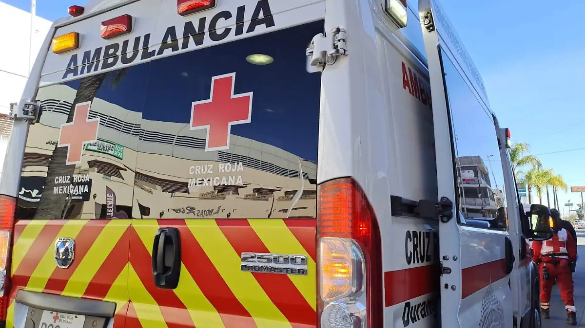 WhatsApp Image 2026-01-05 at 11.18.35 AM