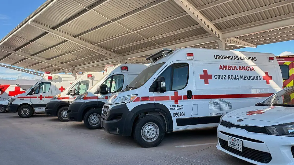 WhatsApp Image 2026-01-16 at 11.53.13 PM