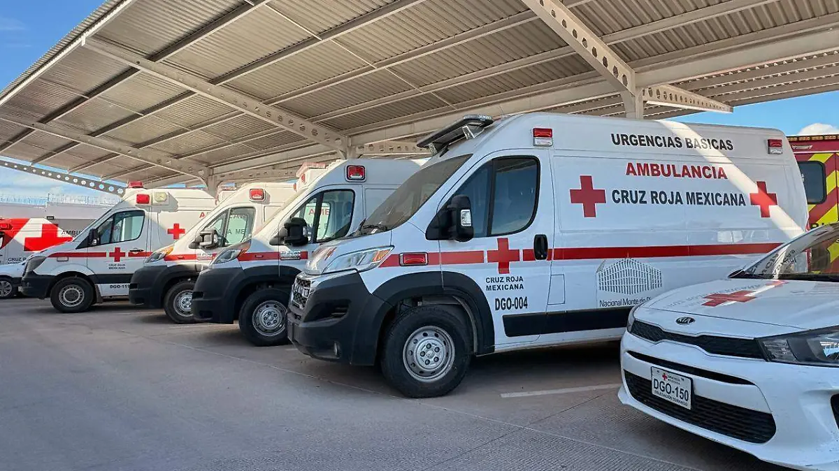 WhatsApp Image 2026-01-16 at 11.53.13 PM