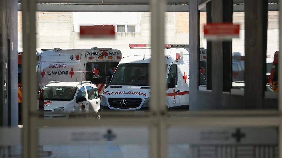 WhatsApp Image 2026-01-16 at 11.53.12 PM (1)