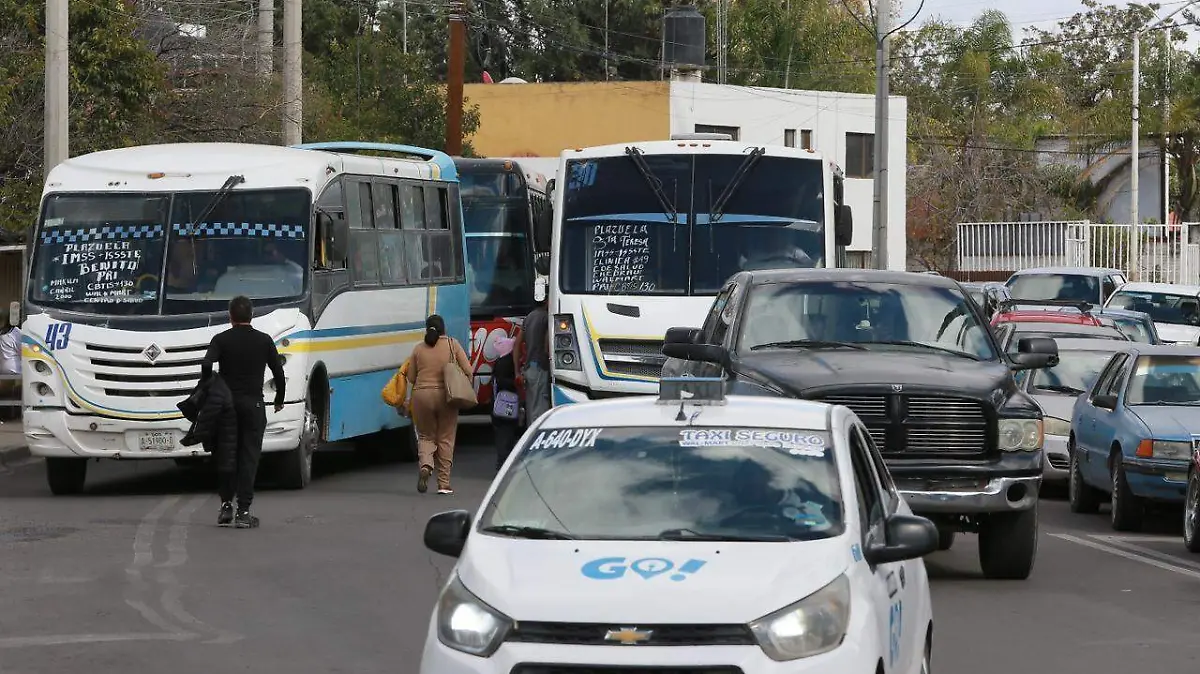 WhatsApp Image 2026-01-17 at 10.39.45 AM (1)