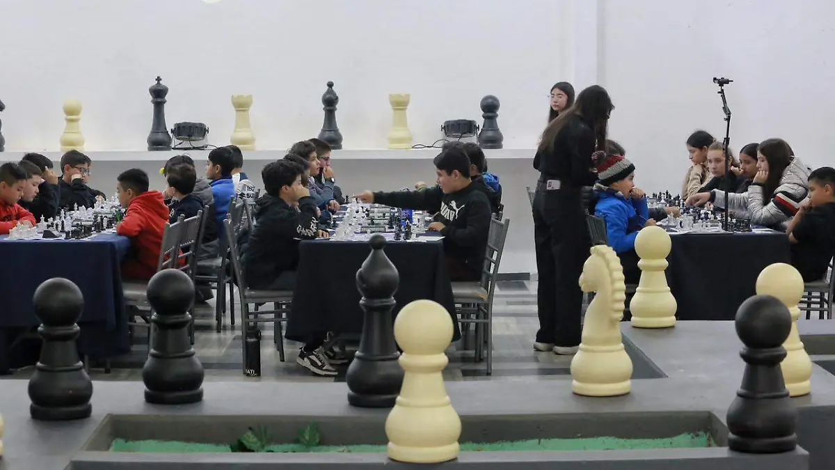 WhatsApp Image 2026-01-17 at 16.31.17 (3)