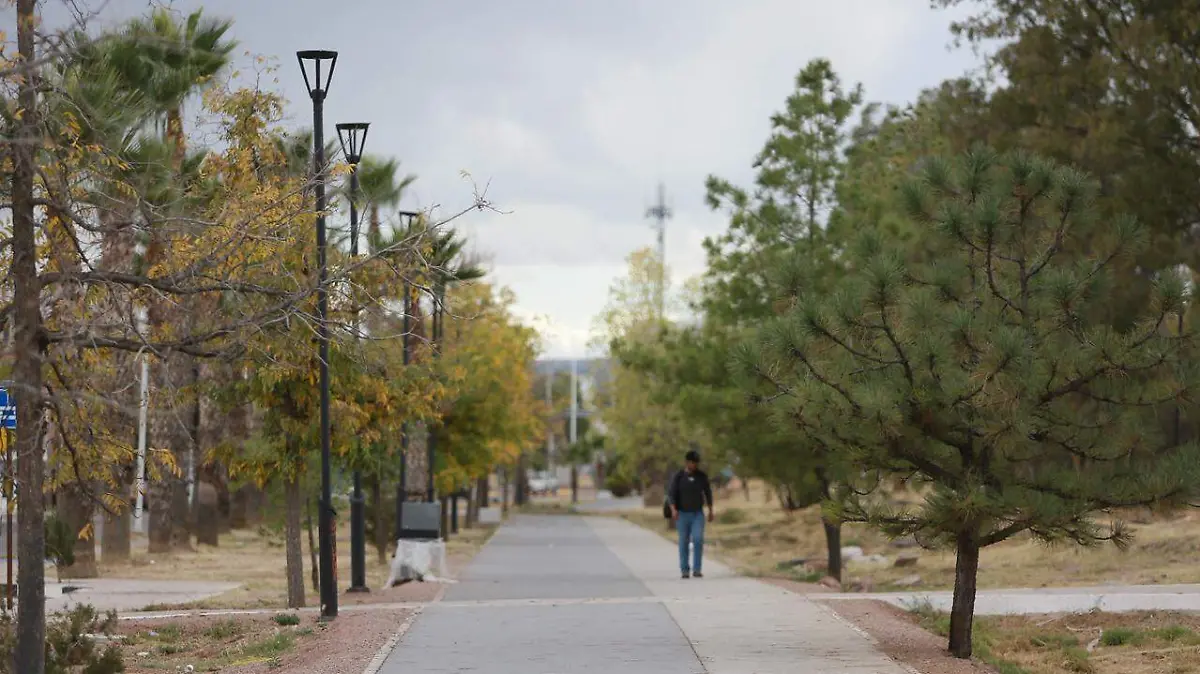 WhatsApp Image 2026-01-17 at 22.03.41