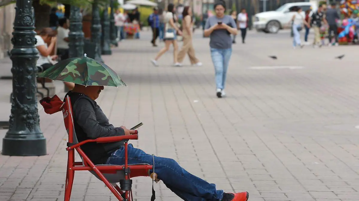 WhatsApp Image 2026-01-17 at 22.26.59