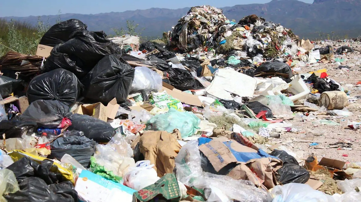 WhatsApp Image 2026-01-18 at 1.15.06 PM (2)