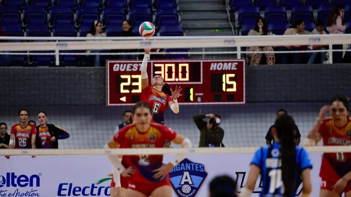 WhatsApp Image 2026-01-18 at 7.20.07 PM