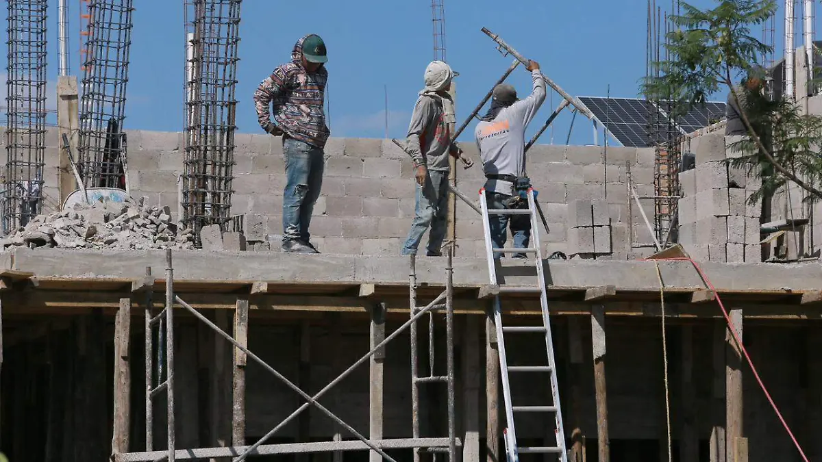 WhatsApp Image 2026-01-19 at 2.52.37 PM