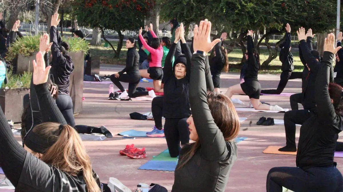 WhatsApp Image 2026-01-18 at 6.50.22 PM