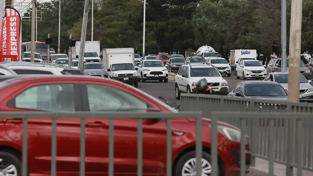 WhatsApp Image 2026-01-19 at 20.57.35 (1)