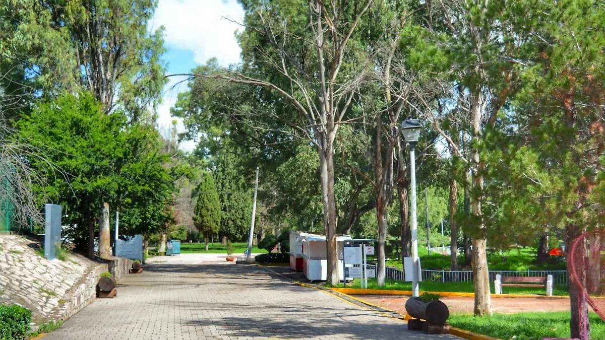 WhatsApp Image 2026-01-19 at 17.38.59