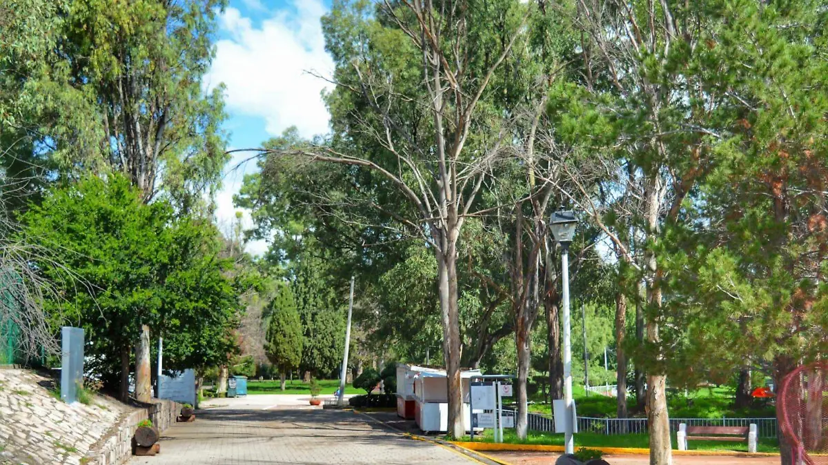 WhatsApp Image 2026-01-19 at 17.38.59