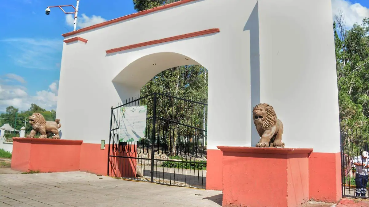 WhatsApp Image 2026-01-19 at 17.39.18