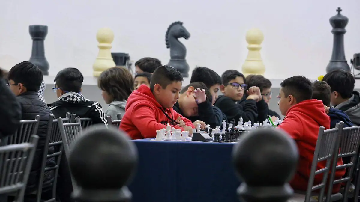 WhatsApp Image 2026-01-20 at 17.21.56 (1)