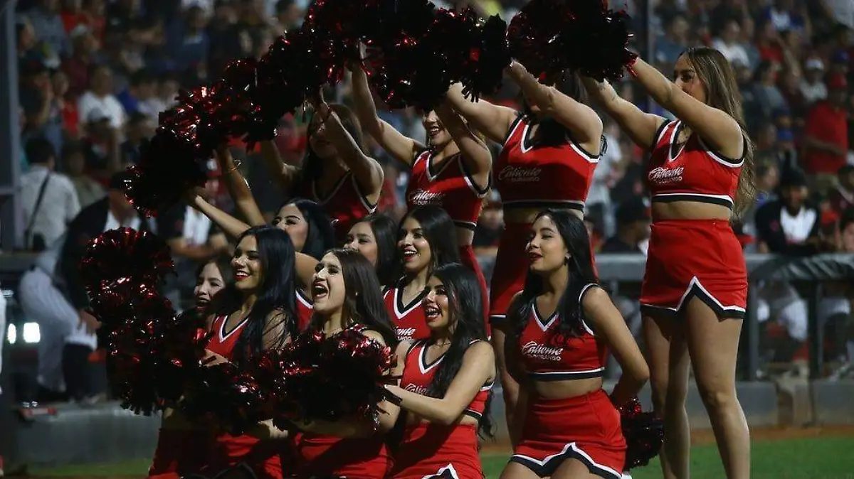 WhatsApp Image 2026-01-20 at 21.44.40 (1)