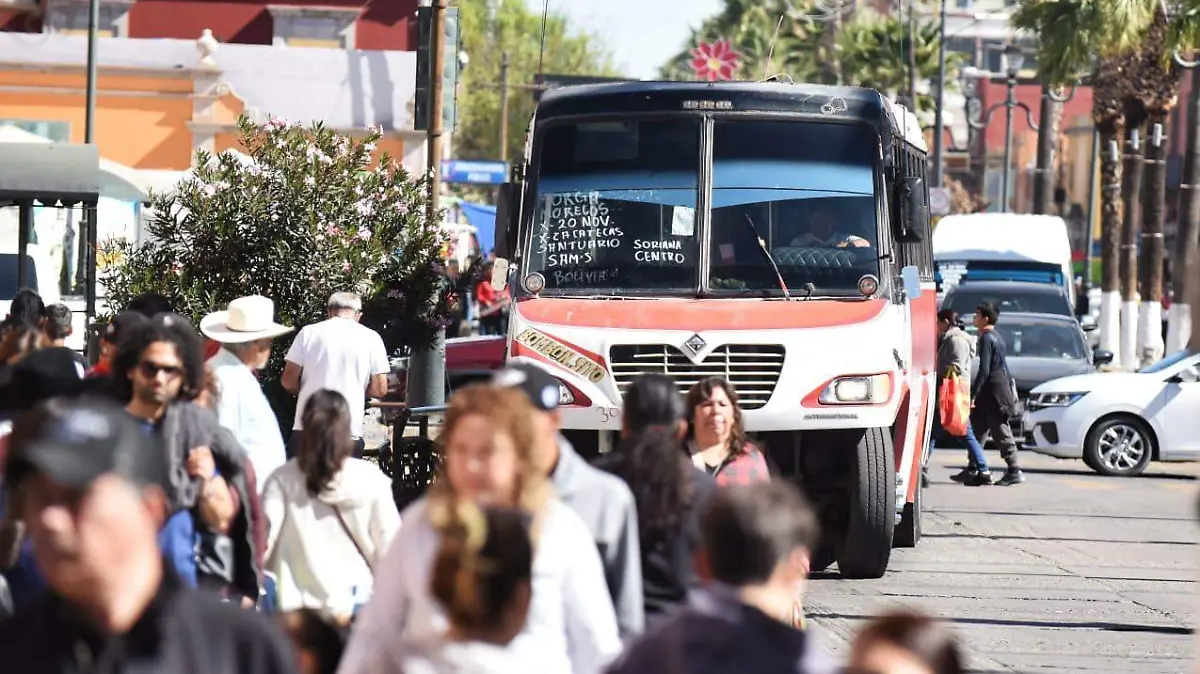 WhatsApp Image 2026-01-21 at 2.45.18 PM