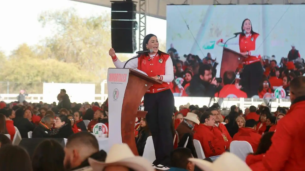 WhatsApp Image 2026-01-21 at 16.28.34