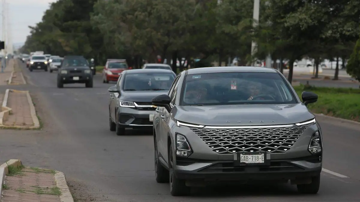 WhatsApp Image 2026-01-21 at 15.21.27