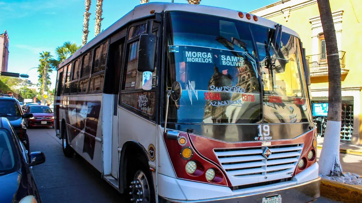 WhatsApp Image 2026-01-22 at 12.06.46