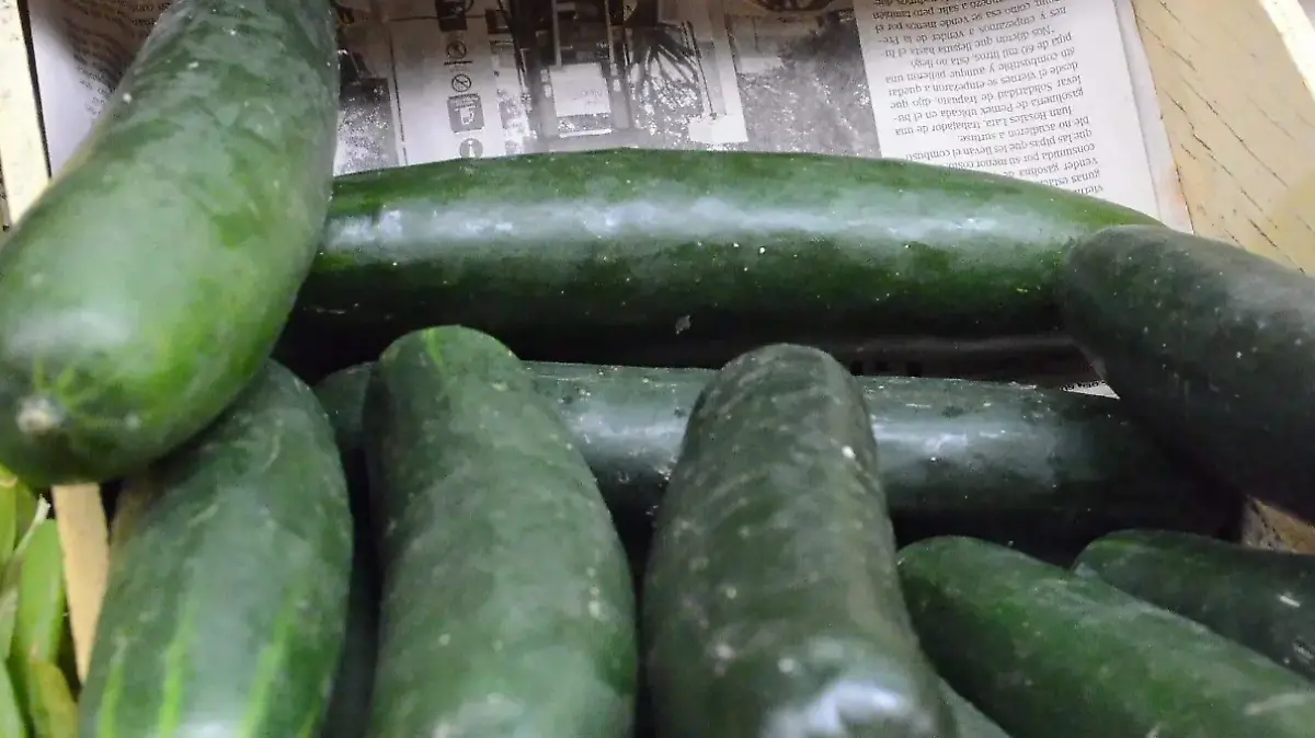 Captura de pantalla 2026-01-23 153219