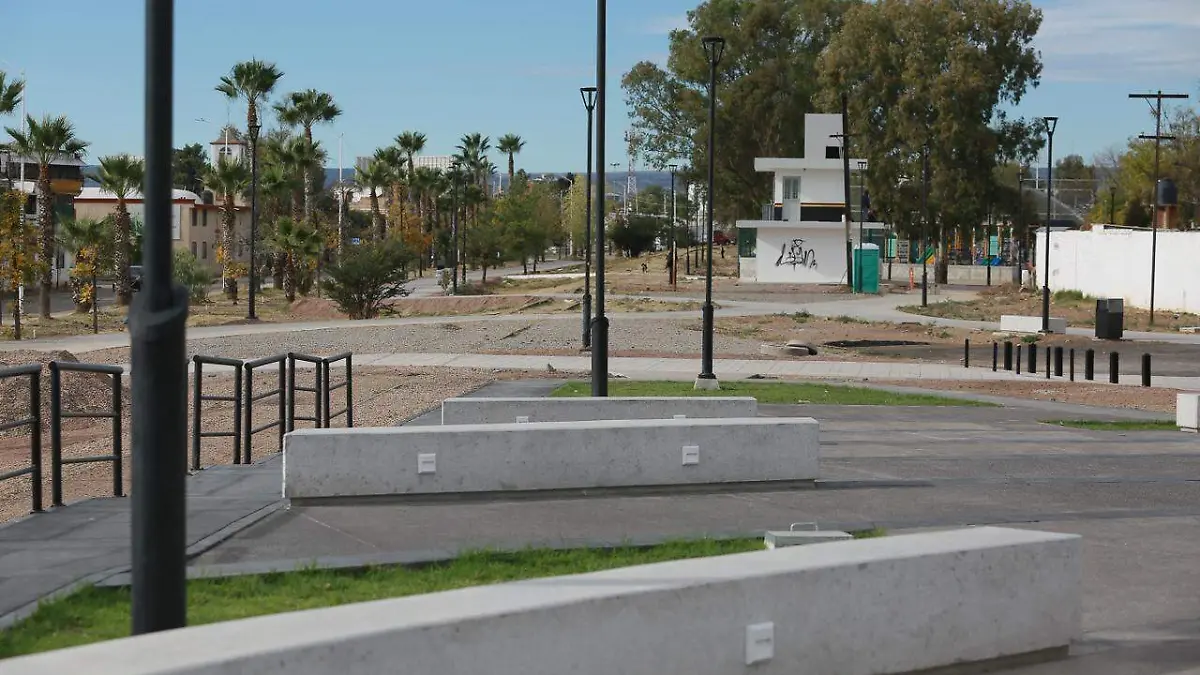 WhatsApp Image 2026-01-23 at 3.22.54 PM (1)