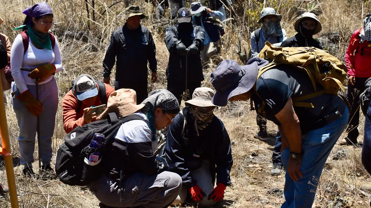 1029770_Quinta Brigada Búsqueda Ajusco_impreso