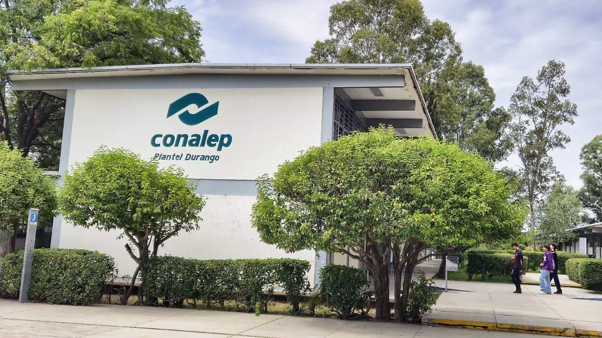 WhatsApp Image 2026-01-23 at 3.38.13 PM