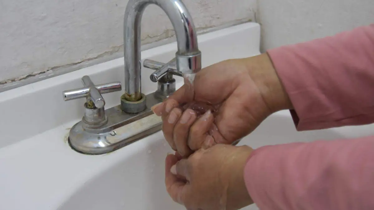 WhatsApp Image 2026-01-24 at 2.26.44 PM