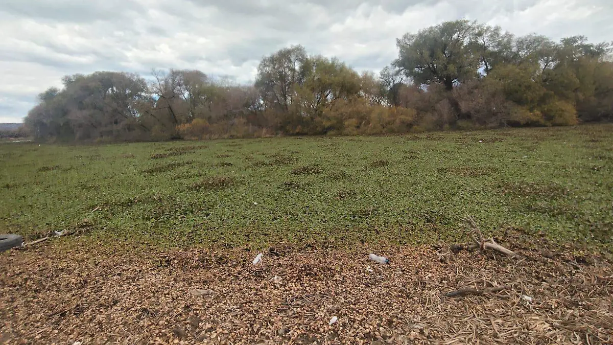 WhatsApp Image 2026-01-24 at 2.25.34 PM