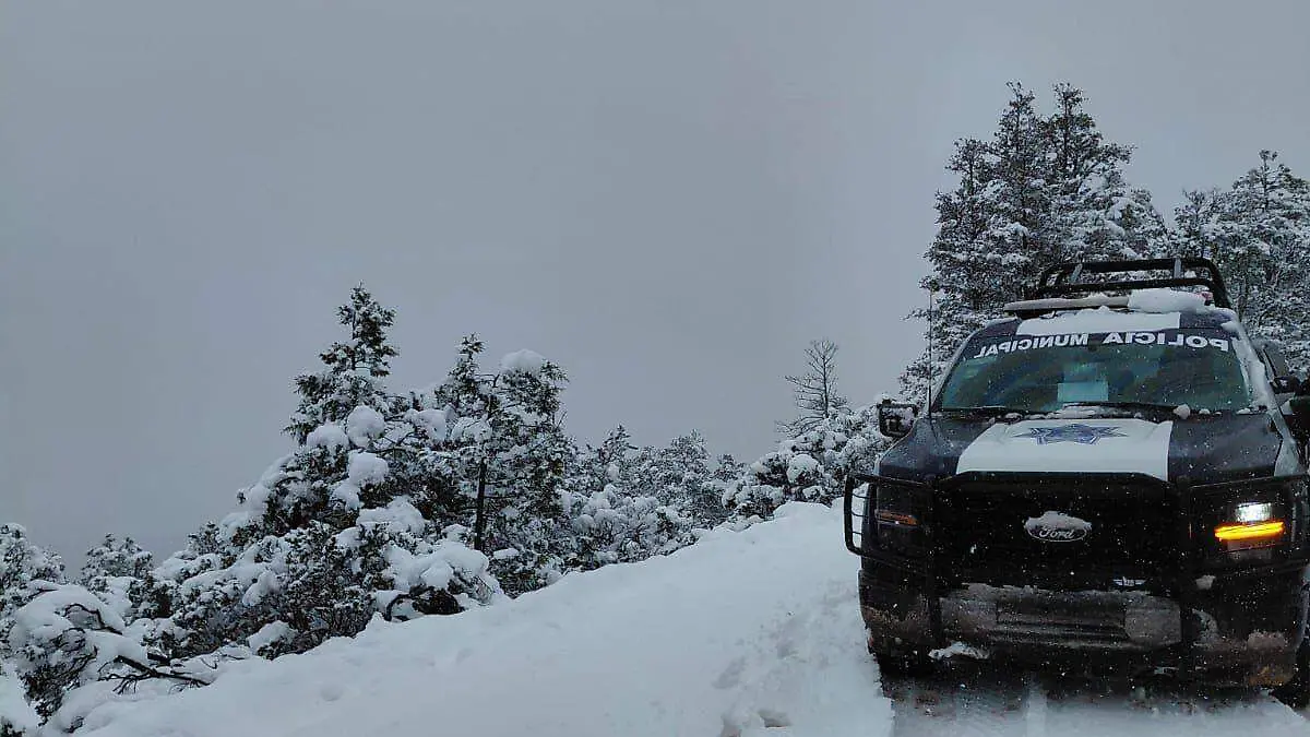 Monitorean condiciones invernales en municipios serranos de Durango