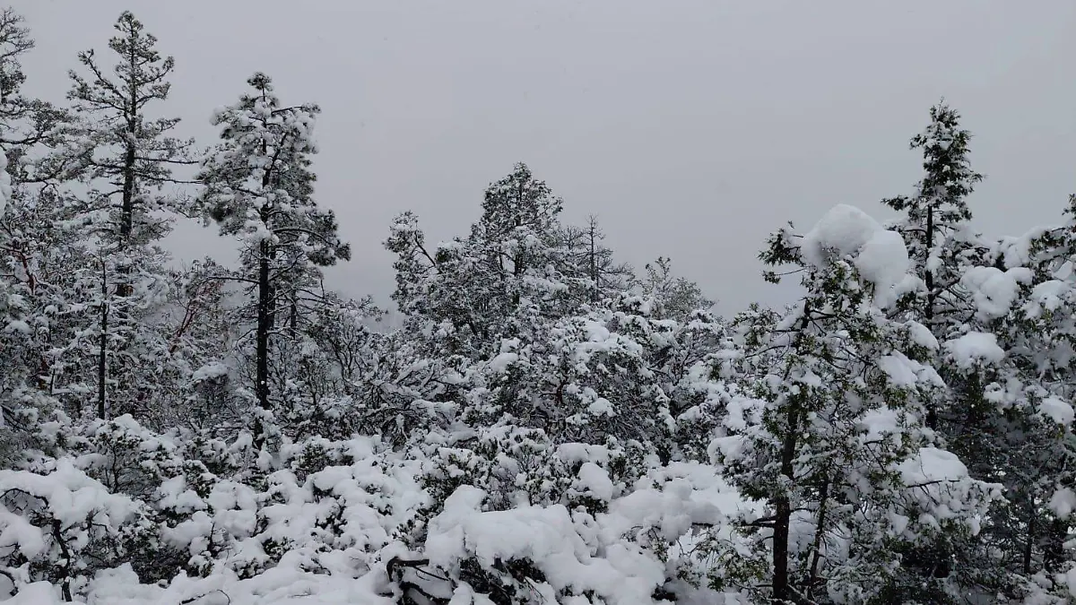 Monitorean condiciones invernales en municipios serranos de Durango