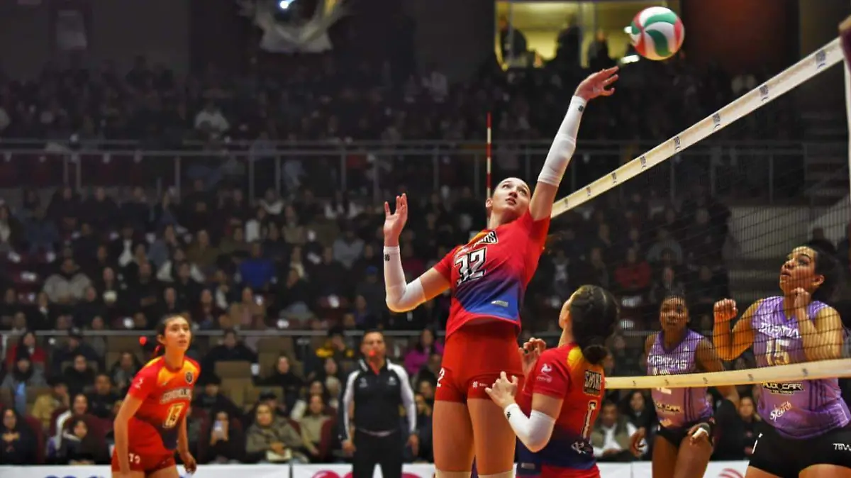 WhatsApp Image 2026-01-24 at 22.48.53