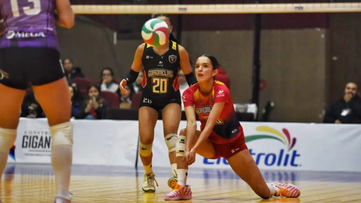 WhatsApp Image 2026-01-24 at 22.48.56 (1)