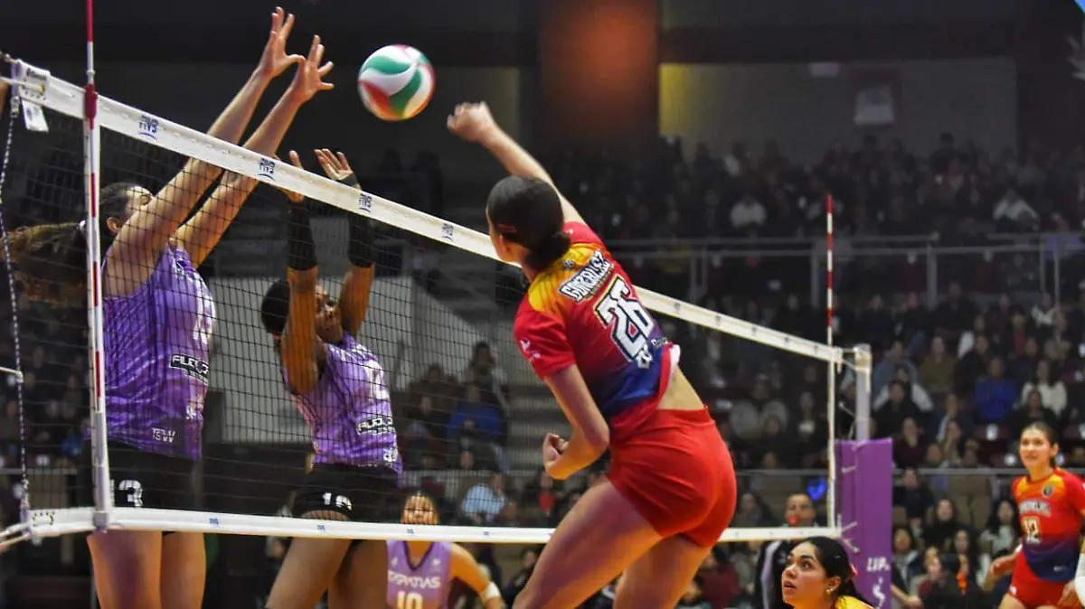 WhatsApp Image 2026-01-24 at 22.48.56