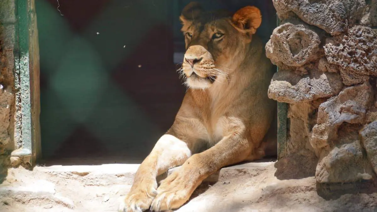 WhatsApp Image 2026-01-24 at 23.55.23