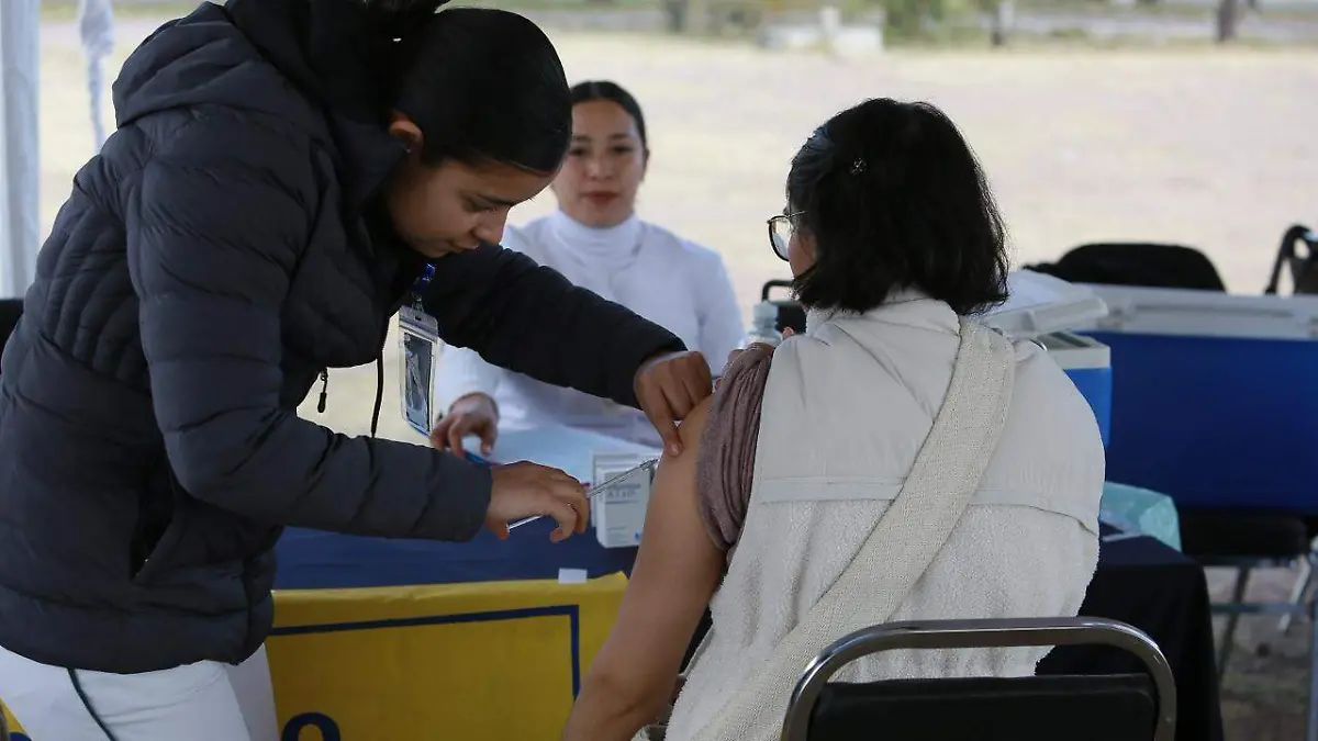 WhatsApp Image 2026-01-25 at 9.56.40 AM