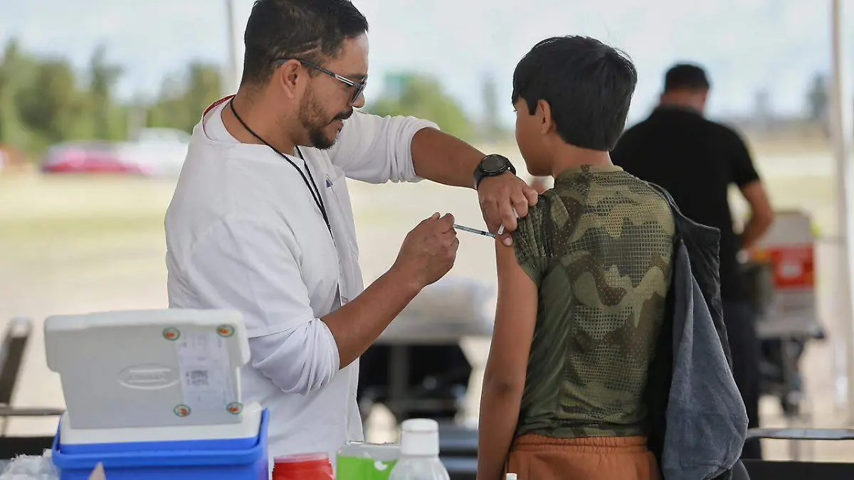 WhatsApp Image 2026-01-25 at 9.56.40 AM (1)