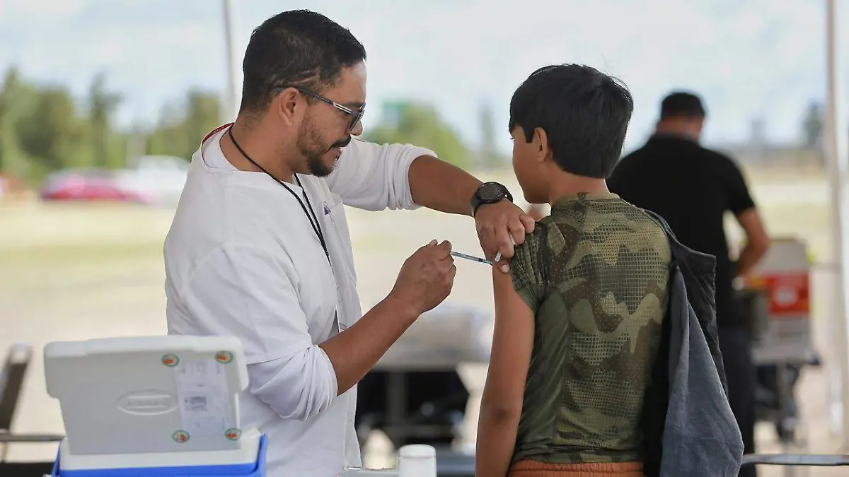 WhatsApp Image 2026-01-25 at 9.56.40 AM (1)