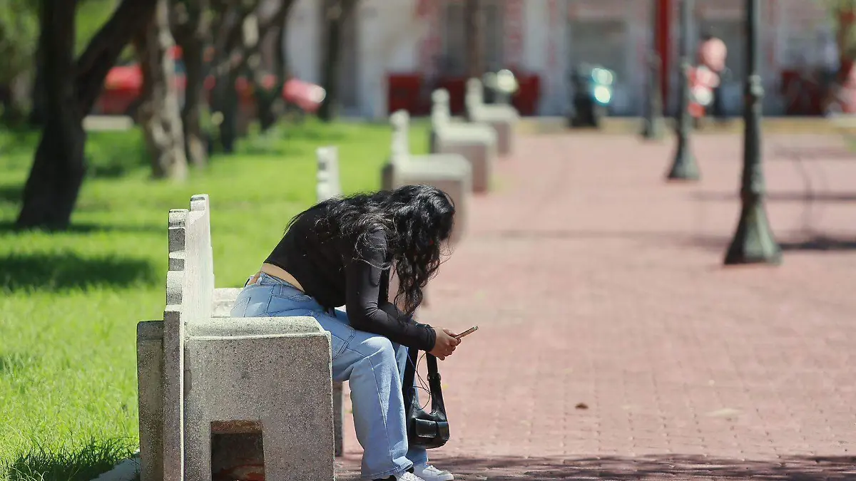 WhatsApp Image 2026-01-25 at 11.25.04 AM