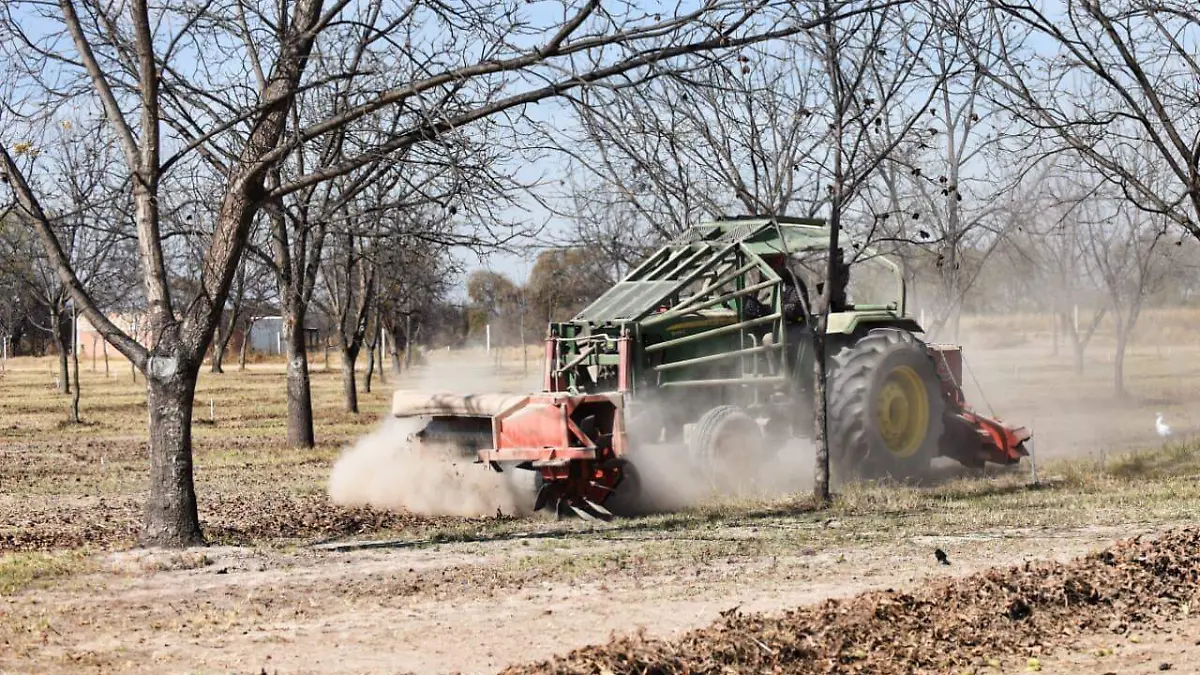 WhatsApp Image 2026-01-26 at 3.04.25 PM