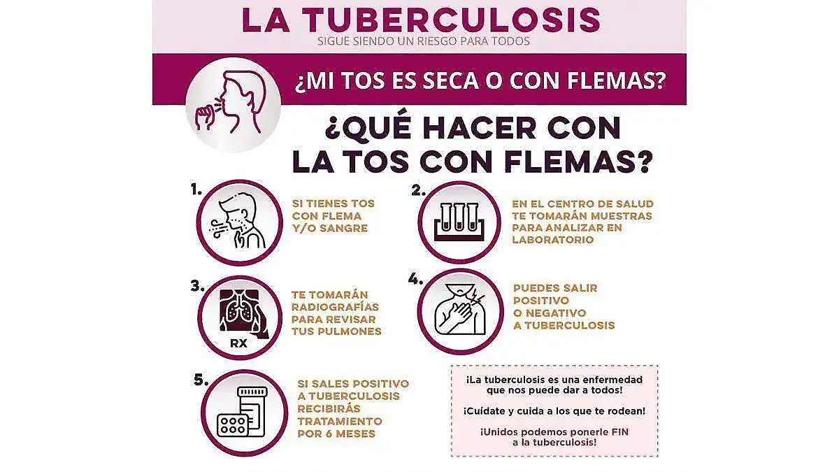 tuberculosis 