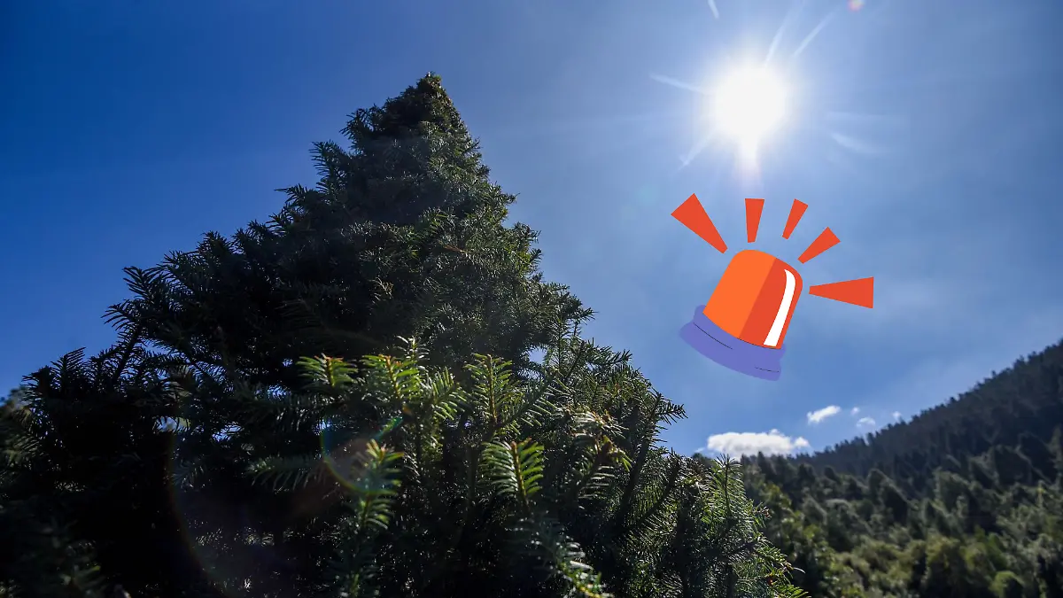 Diseño sin título (1)