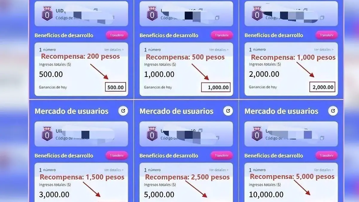 Supuesta plataforma digital de inversión estafa a varias familias duranguenses