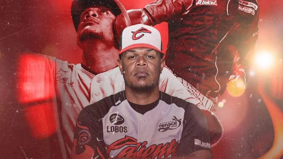 WhatsApp Image 2026-01-29 at 6.43.57 PM